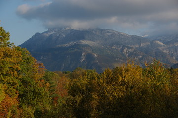 Montagne forêt