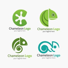 Chameleon logo design template. Vector illustration © boyphotodesign