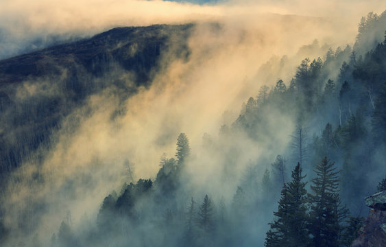 Fototapeta Fog in mountains