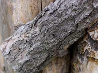 holz hintergrund textur