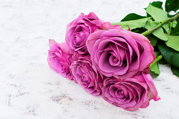 Bouquet of purple roses on a white background