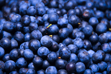 Blueberries
