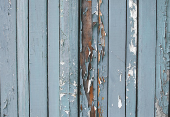 light blue old wooden fence. wood palisade background. planks texture