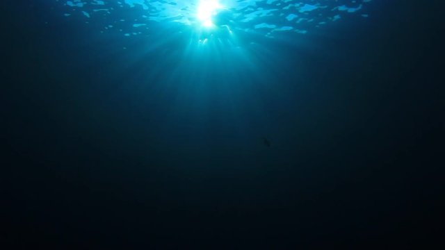 Underwater ocean background footage with sun shining through water surface