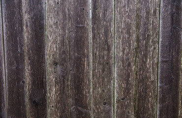 Old fence made of wooden planks