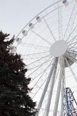 ferris wheel