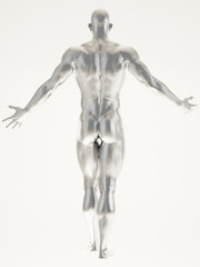 Silver man body