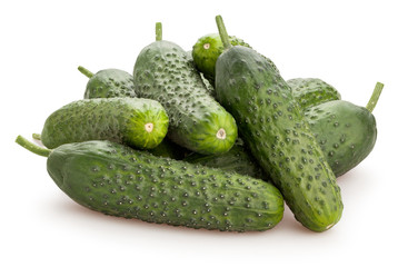 cucumber