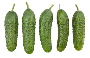 cucumber