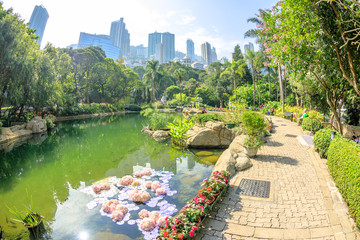 Obraz premium Scenic landscape with fish eye effect of the pond at the lush green garden of Hong Kong Park. On background, modern skyscrapers and towers in Central business district. Sunny day with blue sky.