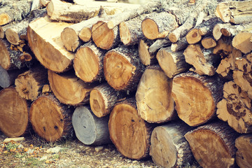 Natural wood background, wood, firewood stacked and ready for us