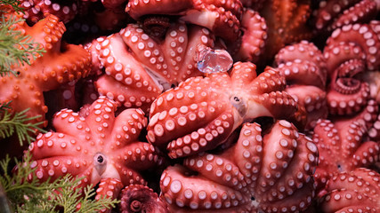 Japanese style fresh octopus selling at tsukiji fish market