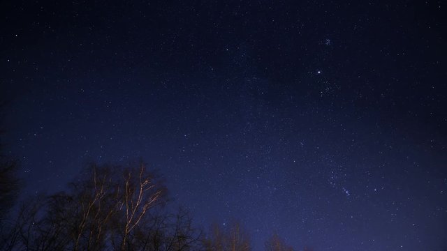 10862 A 4k UHD time lapse of a starry night with light reflections on some trees in foreground.