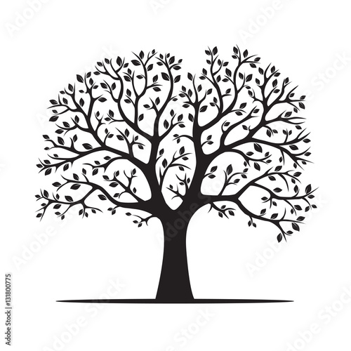 "Black Tree. Vector Illustration" Stock image and royalty-free vector files on Fotolia.com - Pic