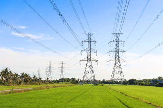 Electric pole or high voltage post on a paddy field with blue sky background.