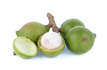 fresh macadamia nut on a white background