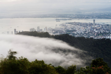 Cityscape, mountain and fog sea view for background