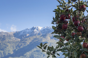 Südtirol 2016  0177