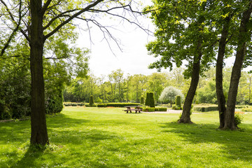 Fototapeta na wymiar View on danube park with green grass, trees and bench, austria