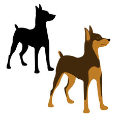 Miniature Pinscher vector illustration style Flat