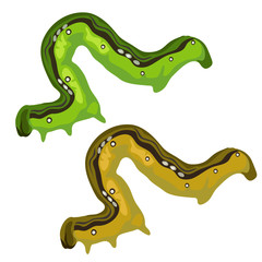 Green and brown caterpillars on a white background