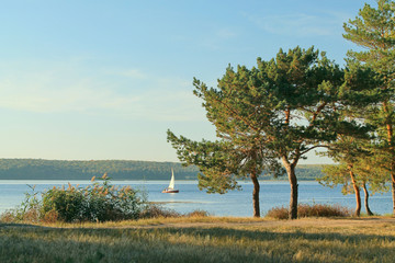 a small sailboat © irina_g