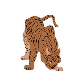 Tiger vector illustration style Flat