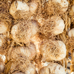 Garlic bulbs close up hanging on a street market