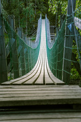 A beautiful hanging bridge in forest of Finland