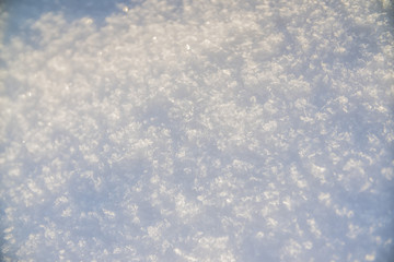 background of the sparkling fresh white snow