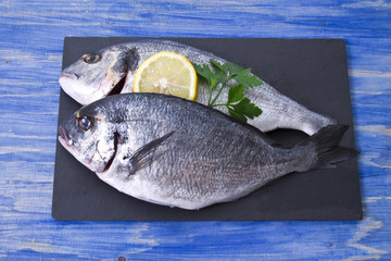 Fish, twig on blackboard on blue wooden background