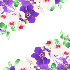 Beautiful floral background with orchids and clematis 