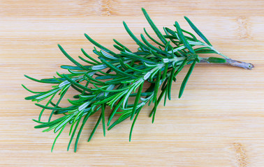 Fresh rosemary as spice for the kitchen
