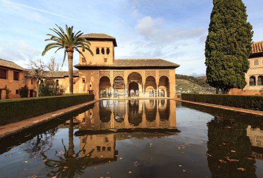 Reflections of the Alhambra.