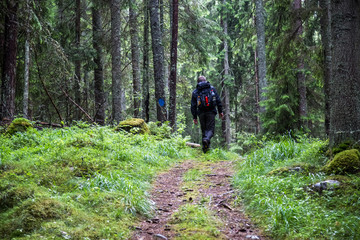 Walking in the forrest