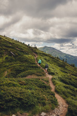 Fototapeta premium Group of tourists hiking in Carpathian mountains, nature landscape, Chornogora ridge, Ukraine.