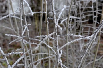 Hivers en Bourgogne