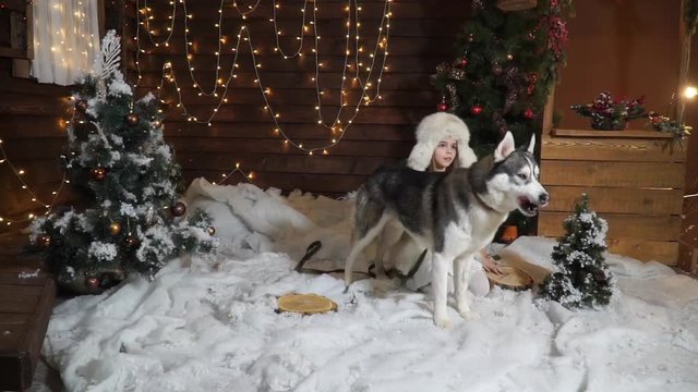 Little scared girl with a big husky dog in the snow next to Christmas trees