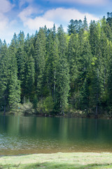 mountain lake Synevir with coniferous trees and cloudy sky