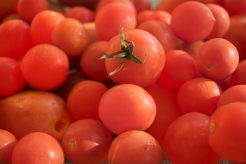 ripe cherry tomatoes