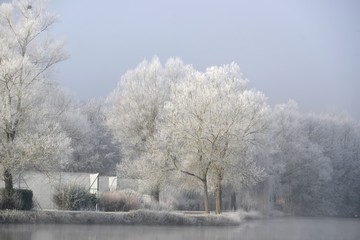 Hivernal