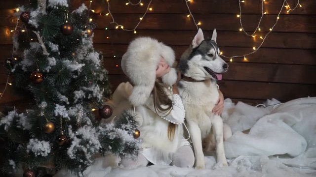 Girl hugging husky dog sitting under the Christmas tree