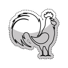 rooster year isolated icon vector illustration design