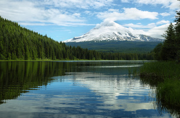 The Mount Hood reflection in Trillium Lake