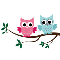 Fototapeta premium Two Owls sitting on the branch