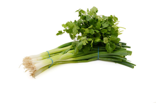 Bunch of scallions, or green onions, spring onions and parsley on white background