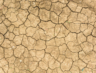 cracked ground for background