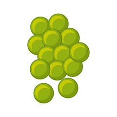 grapes fresh fruit drawing icon vector illustration design