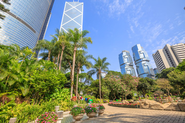 Fototapeta na wymiar Hong Kong skyline of modern skyscrapers and towers in Central business district in a sunny day with blue sky seen from the Hong Kong Park, China, Asia.