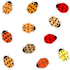 Ladybug card